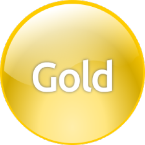 Entente de services complets Niveau Gold (ESC/TSA) - Bronze Level Support