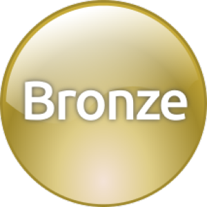 Entente de services complets Niveau Bronze (ESC/TSA) - Bronze Level Support