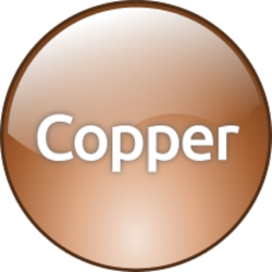 Copper Level Total Service Agreement (TSA)